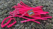 1 FERRETING COLLAR PINK FITS