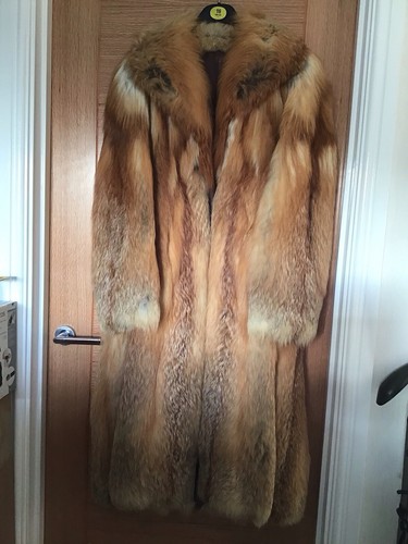 Beautiful full length red fox - full,