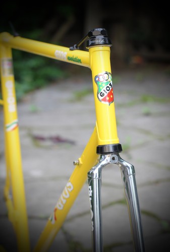 Gios compact pro evolution - gios,