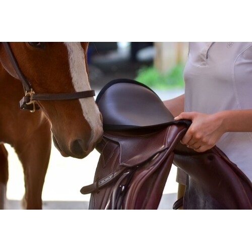 Thinline seat saver - thinline,