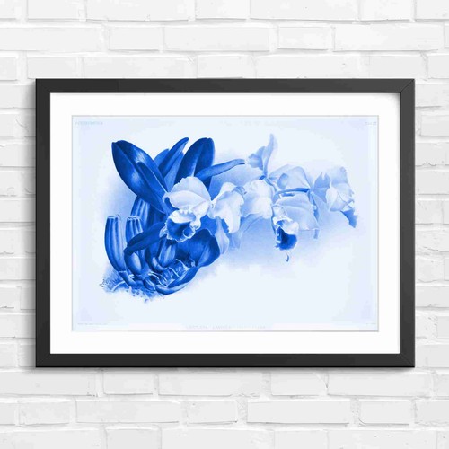 Vintage orchid botanical - vintage,