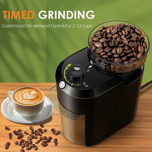 Electric burr coffee grinder - burr,