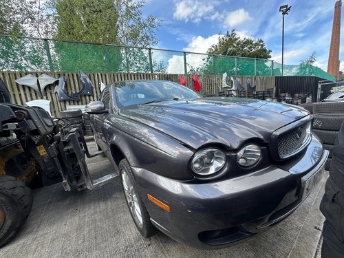 Jaguar type grey 2 - jaguar,