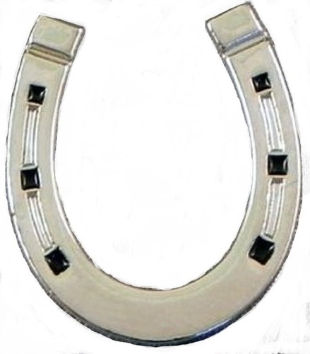 Horseshoe metal pin badge - pin,