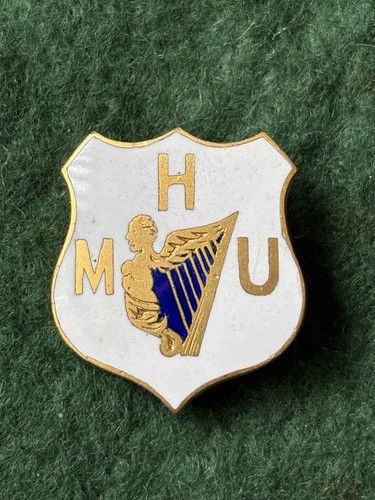 Old irish badge possibly - old,