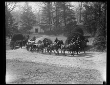 Photo 1931 funeral horse - photo:1931, drawn