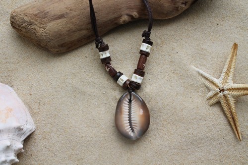 New cowrie shell - cowrie,
