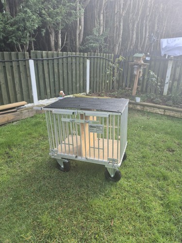 Dog show cage with large - cage,
