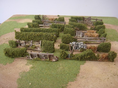 Hedge sections 28mm wargames - hedge,