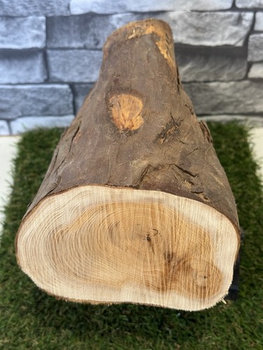 Year air dried yew - air, log