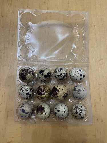 Japanese quail eggs - japanese,
