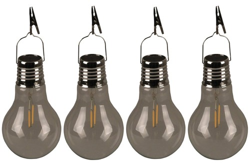 Bulb for garden and - garden,