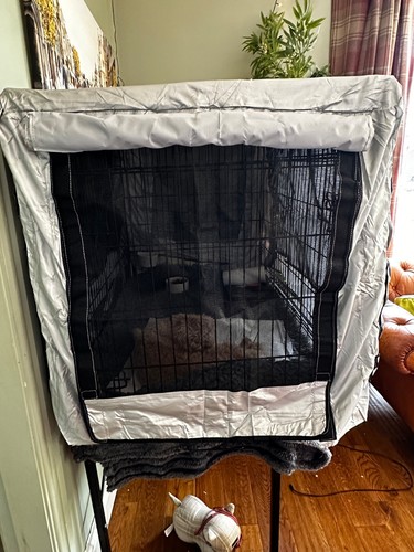 Croft heat reflective - croft, dog
