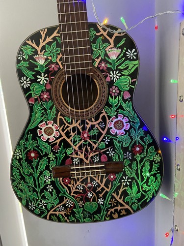 Classic guitar - guitar,