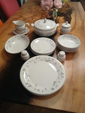 24 Pc Dinner set Royal Doulton Expressions Strawberry Fayre (6 place setting)
