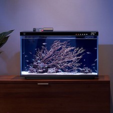 16:9 XIAOMI Smart Fish Tank