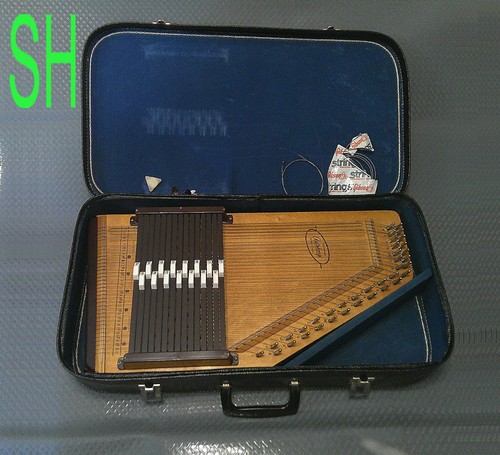 Vintage 1960s silvertone - 1960s,