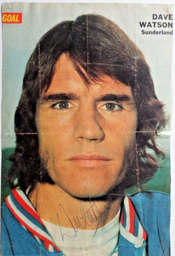 Dave watson sunderland - dave,