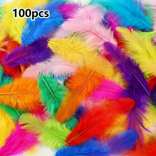 100pcs mixed colour craft - 100pcs,