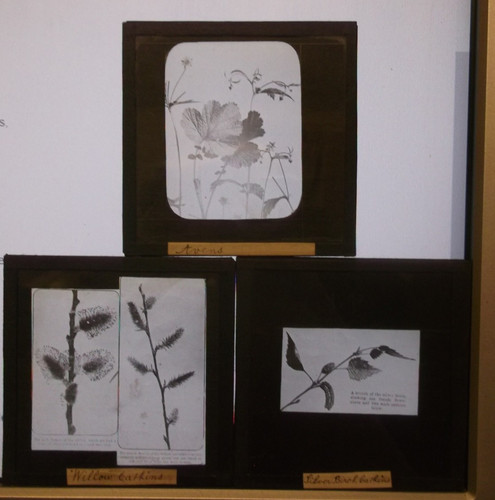 Magic lantern slides - 3,