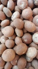500g Whole Betel Nut (Sopari)