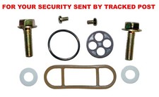 Kawasaki GPZ305 (EX305) fuel