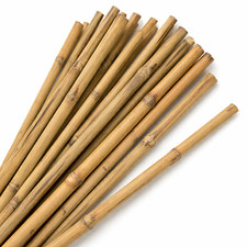 Bamboo Canes 2–6ft Garden