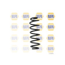 2x Coil Springs (Pair) Rear