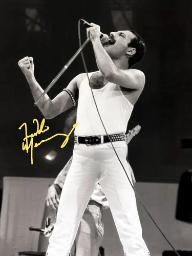 Freddie mercury signed - freddie,