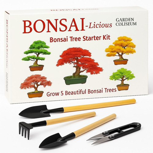 Bonsai tree kit - tree, grow