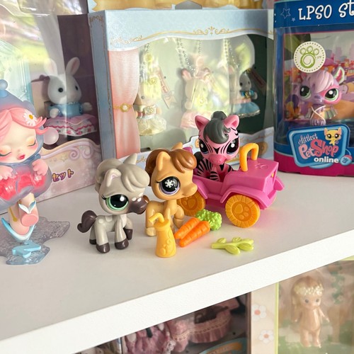 Littlest sort shop bundle - shop, 2