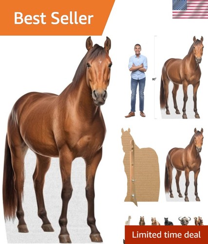 Horse life size - life, cardboard