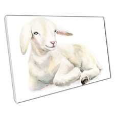 Watercolour Baby Sheep Lamb