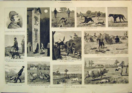 Old antique print - antique,