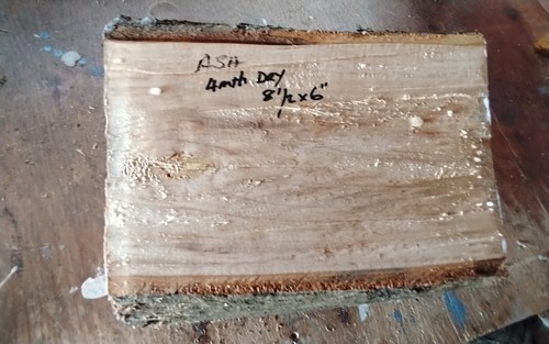 Ash bowl blank - blank, turning