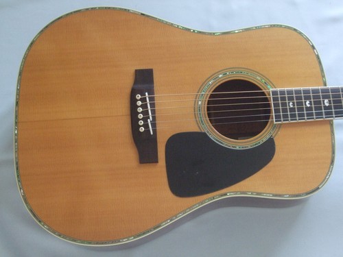 Takamine tss acoustic - tss-20,