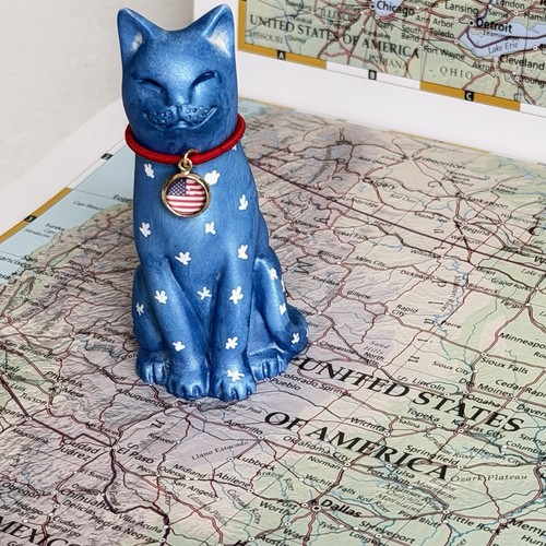 Usa 250 original - original, cat