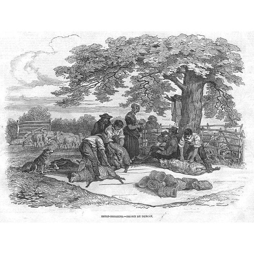 Farming victorian agricultural - victorian,