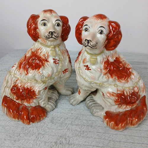 Staffordshire spaniel dog - spaniel,