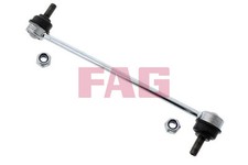 FAG 818 0293 10 Rod/Strut
