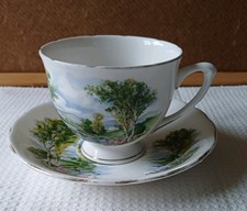 Colclough Bone China Cup and