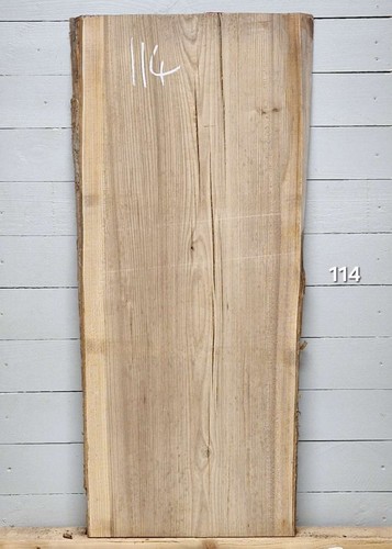Elm live edge timber - elm, x