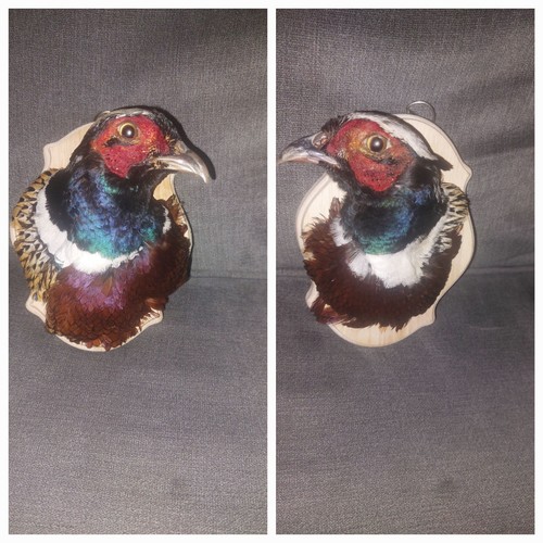Wooden plaque with shoulder - with,