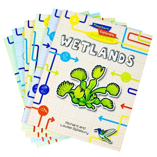 Flowchart explorers ecosystems - explorers,