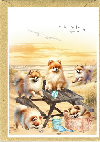 Pomeranian dog greetings card - greetings,