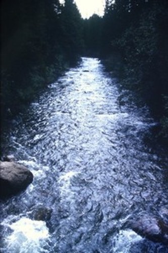 C1970 35mm slide rushing - slide,,