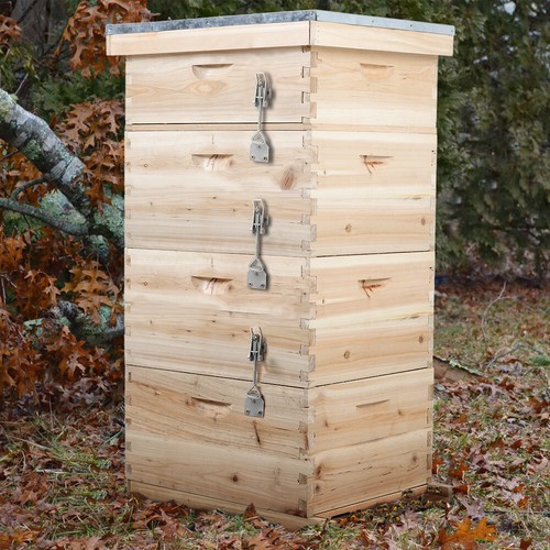Tiers langstroth beehive - langstroth,