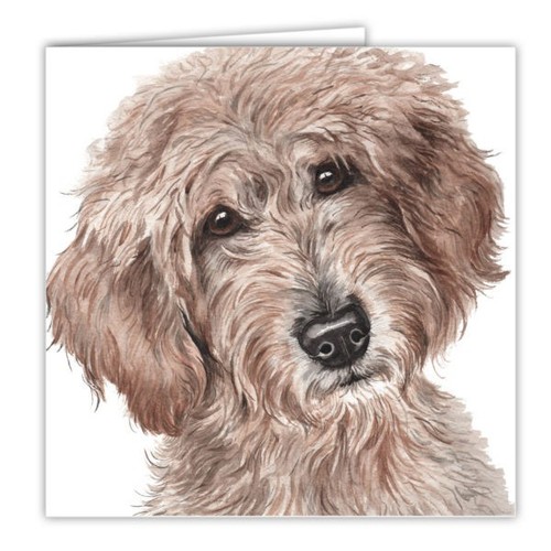 Labradoodle dog card 6 - card,