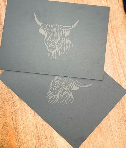Highland cow engraved - cow,