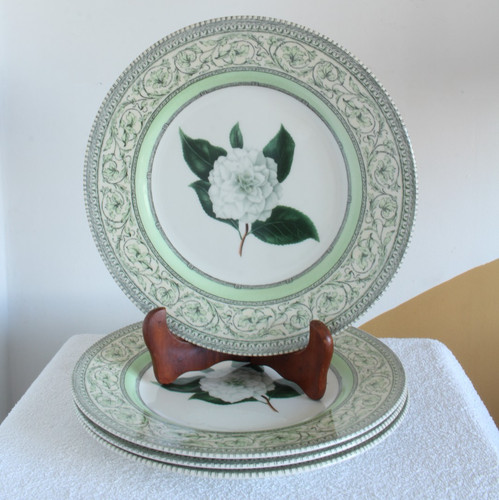 Royal horticultural society - royal,
